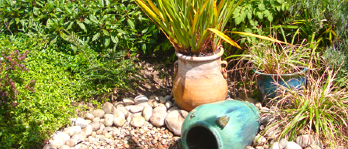 Garden19