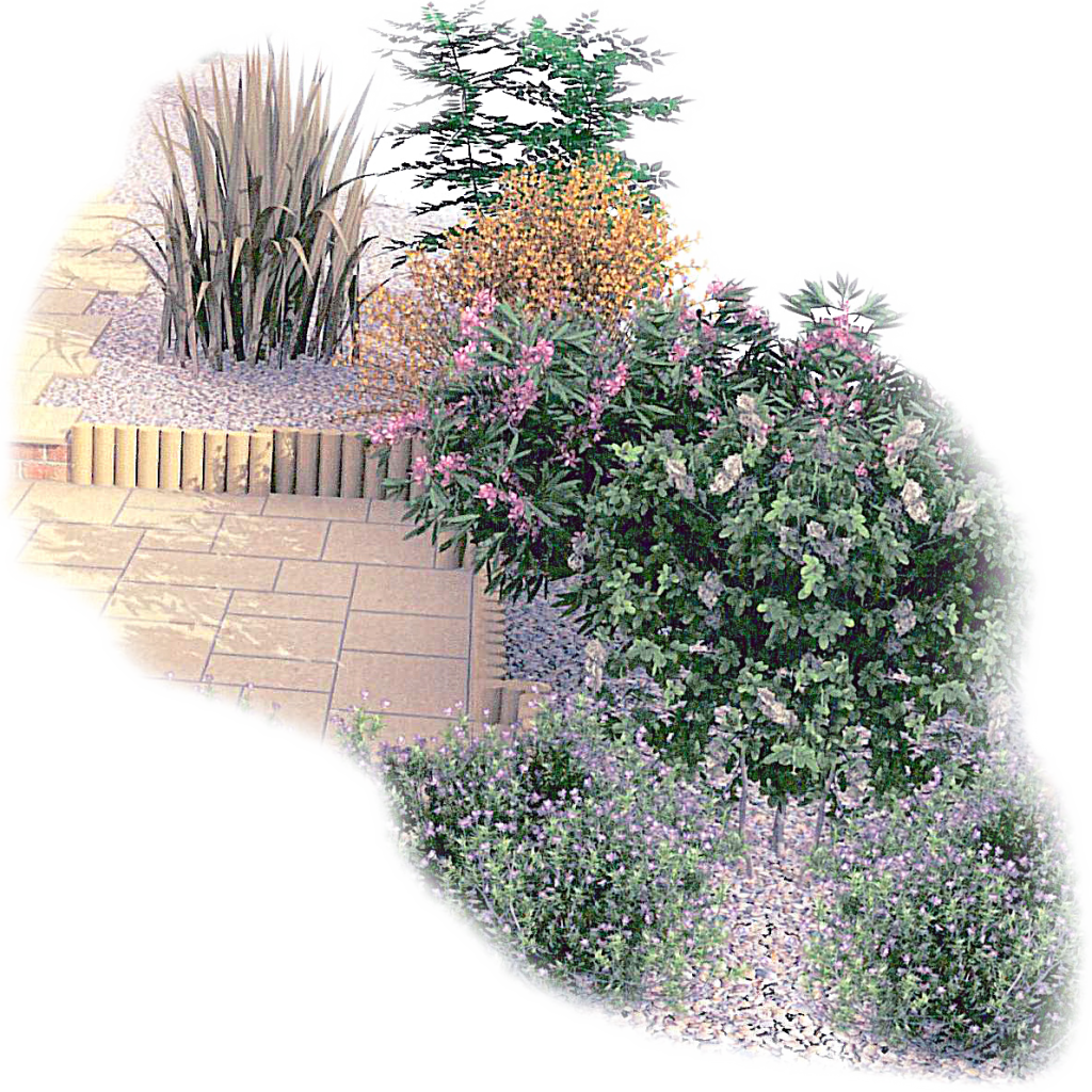 Soft and Hard landscaping design